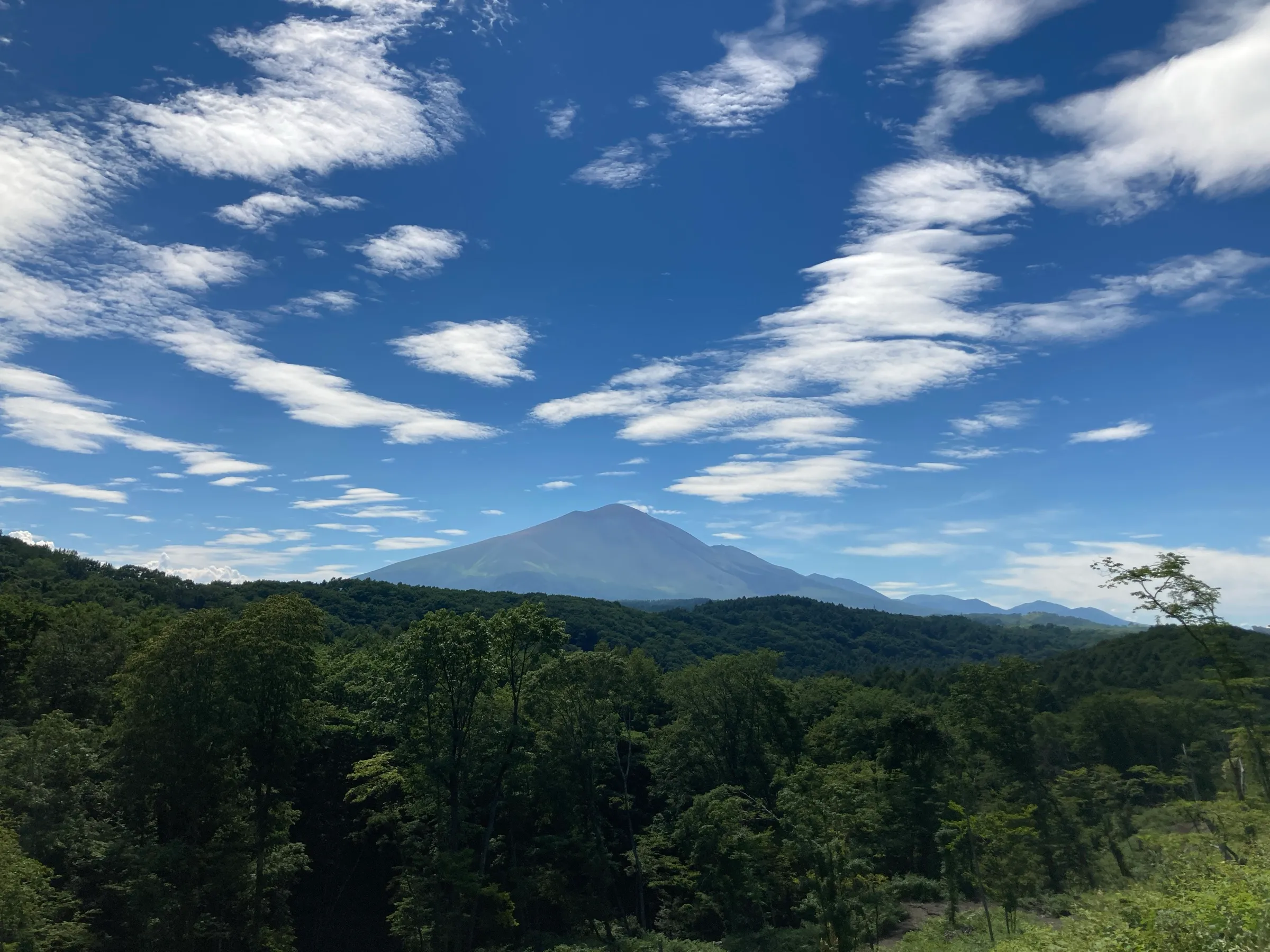 青空の下、森の向こうに浅間山を望む軽井沢の風景